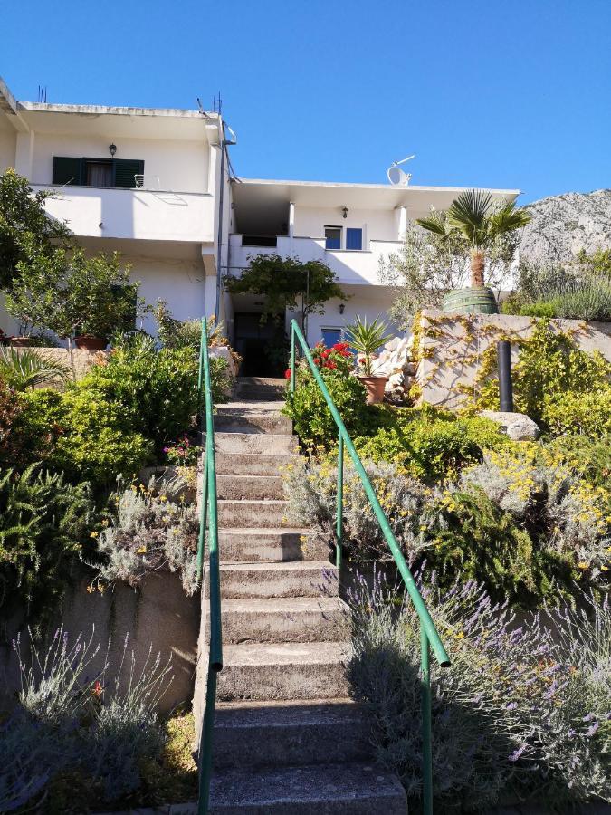 Apartman Mare 드레베니크 외부 사진